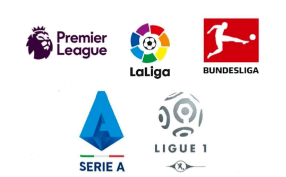 具凝聚力和 具凝聚力和